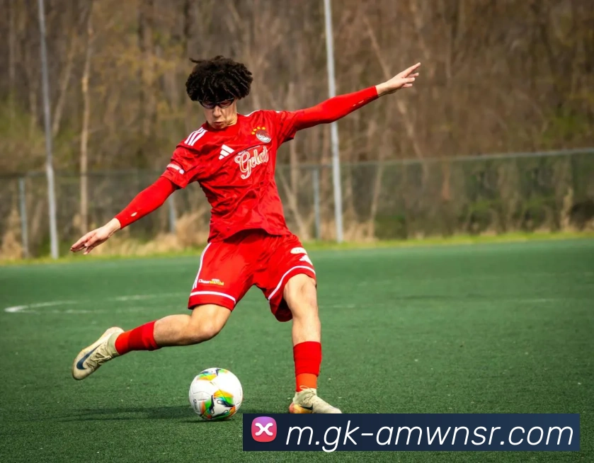 App Interface Preview