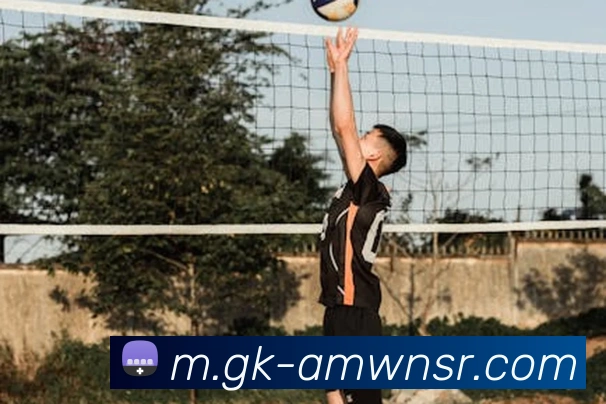 威尼斯人娱乐官网APP 封面图